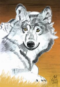 expositions de portraits expositions de portraits